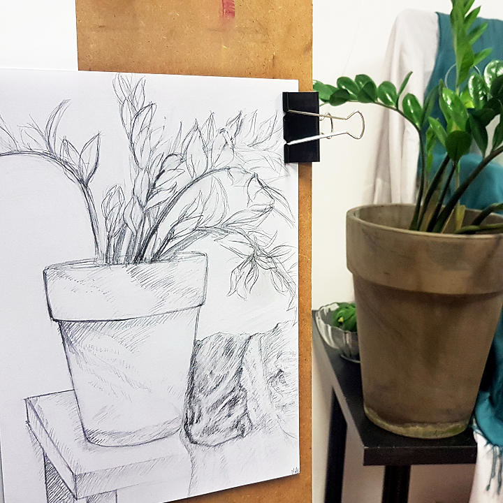 nauka rysunku na zajeciach plastycznych w katowicach