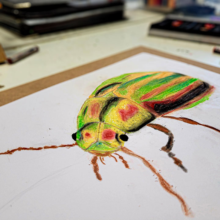 Plakat 6 Tajniki Pasteli Suchej, Węgla, Sepii i Pasteli Olejnej w Wakacje 2026